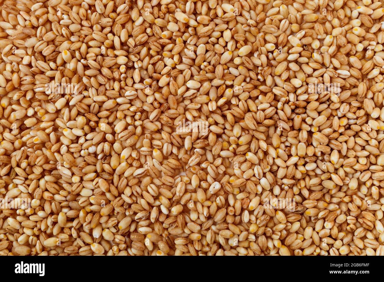 grain texture of raw pearl barley Stock Photo - Alamy