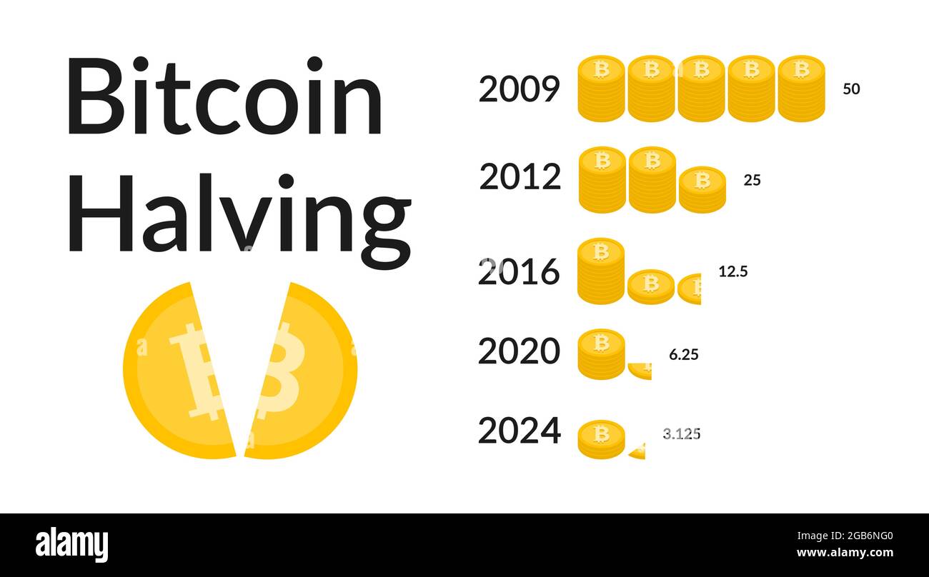 Bitcoin Halving 2024 vector illustation Stock Vector Image & Art Alamy