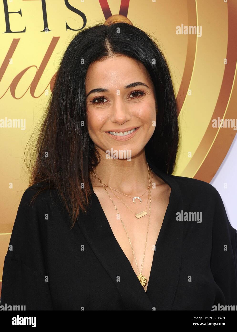 -West Hollywood - CA - 01/05/2019 6th Annual Gold Meets Golden Brunch