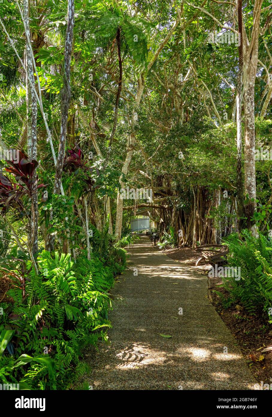Garden path flowers australia hi-res stock photography and images - Alamy