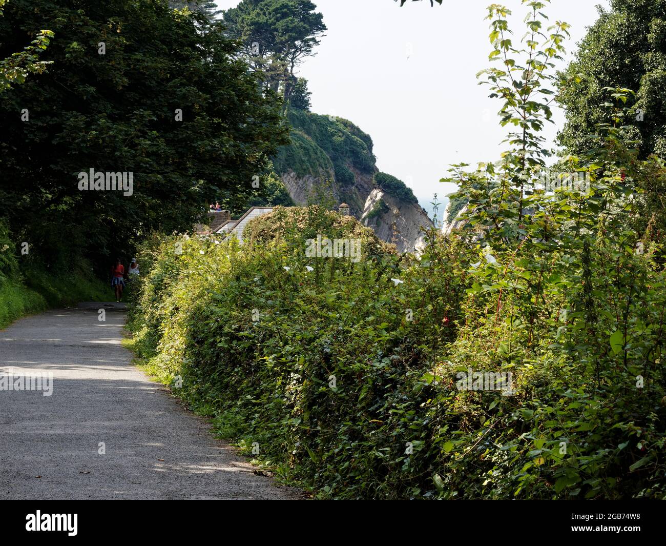 Lee Bay , North Devon, UK Stock Photo