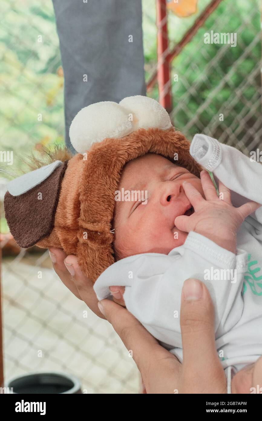 Beautiful newborn baby (4 days old), with hat and puppy shoes, in bamboo fiber basket and surrounded by green leaves, Healthy medical concept Stock Photo