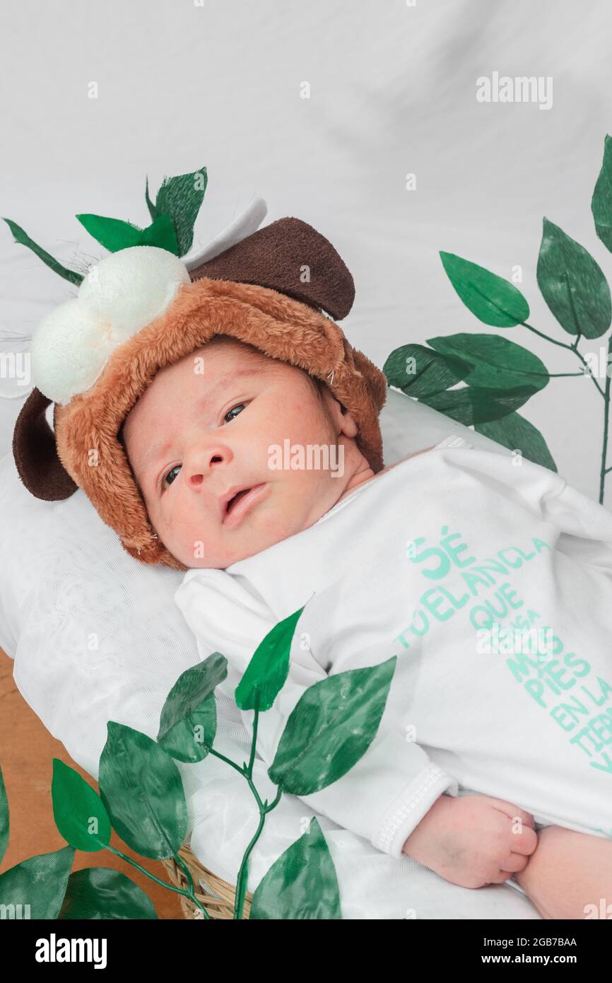 Beautiful newborn baby (4 days old), puppy hat, with open eyes, in bamboo fiber basket and surrounded by green leaves, Healthy medical concept Stock Photo