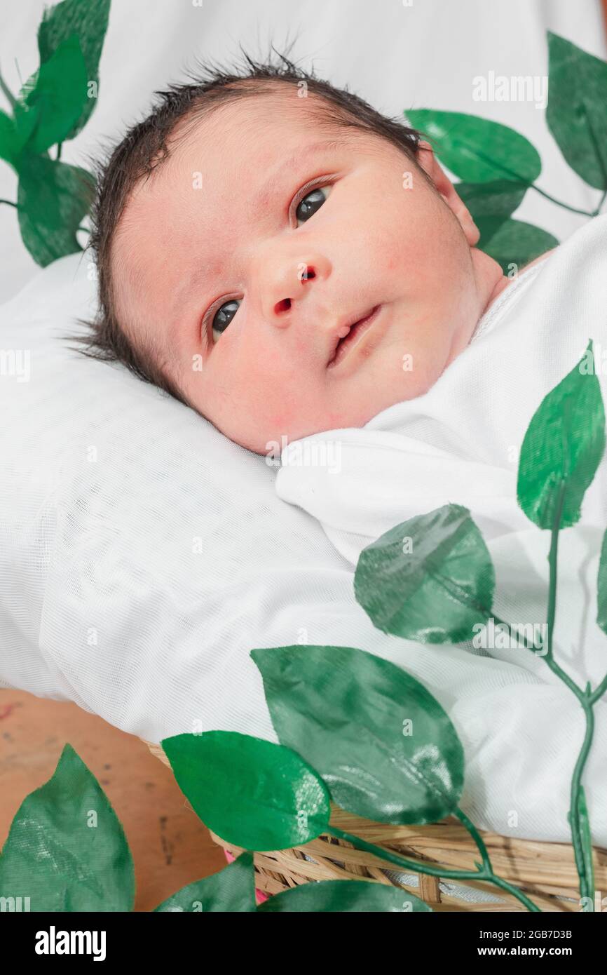 Beautiful newborn baby (4 days old), lying with his eyes open, disheveled, in bamboo fiber basket and surrounded by green leaves, Healthy medical conc Stock Photo