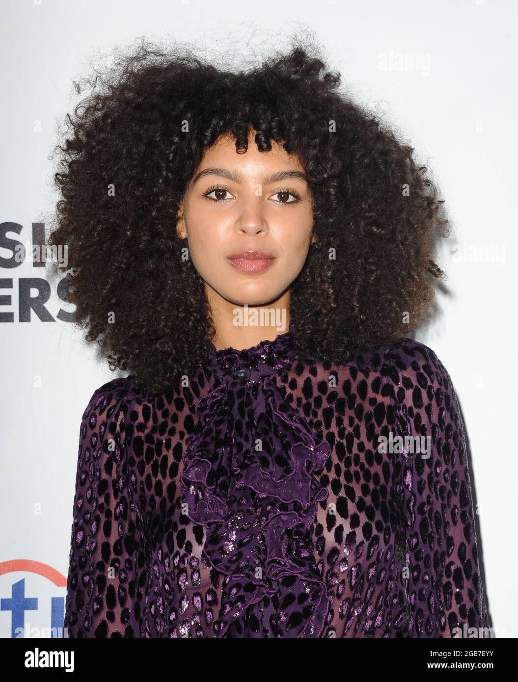 Los Angeles - CA -20190210 - Universal Music Group 2019 Grammy After