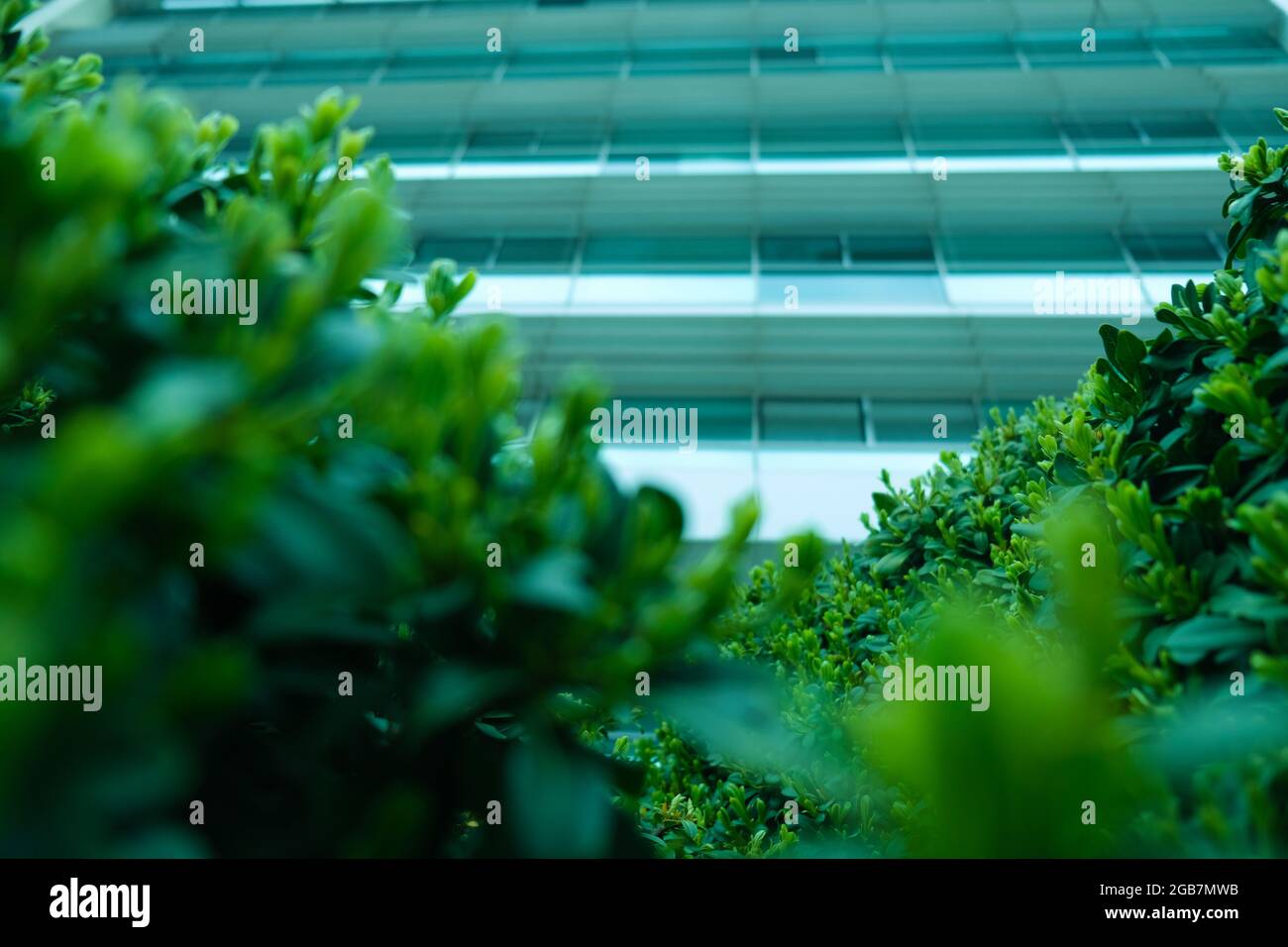 Green patterned background, Natural background and wallpaper Stock Photo