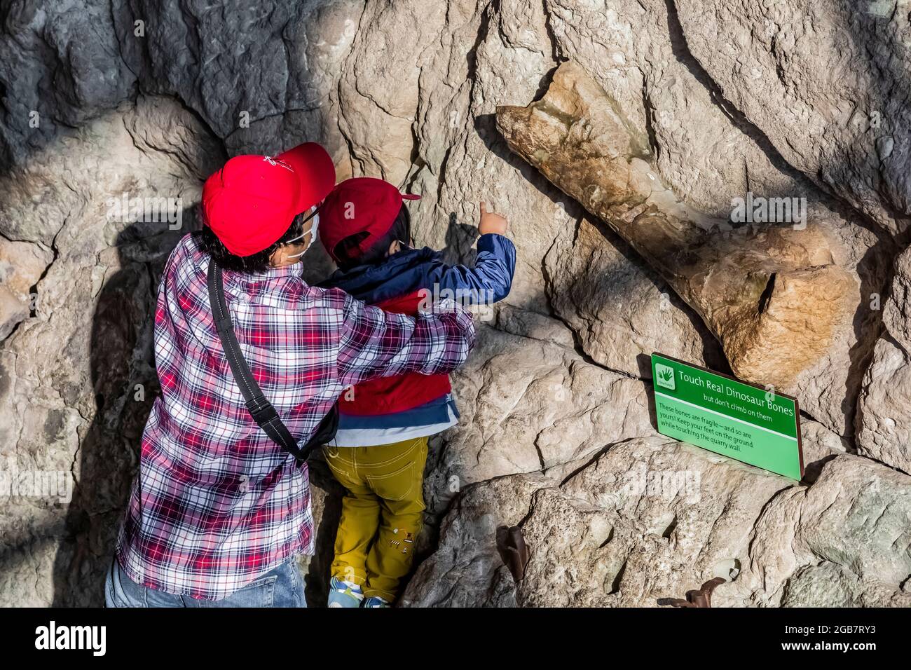 Visitors are able to touch some real dinosaur bones in the Quarry