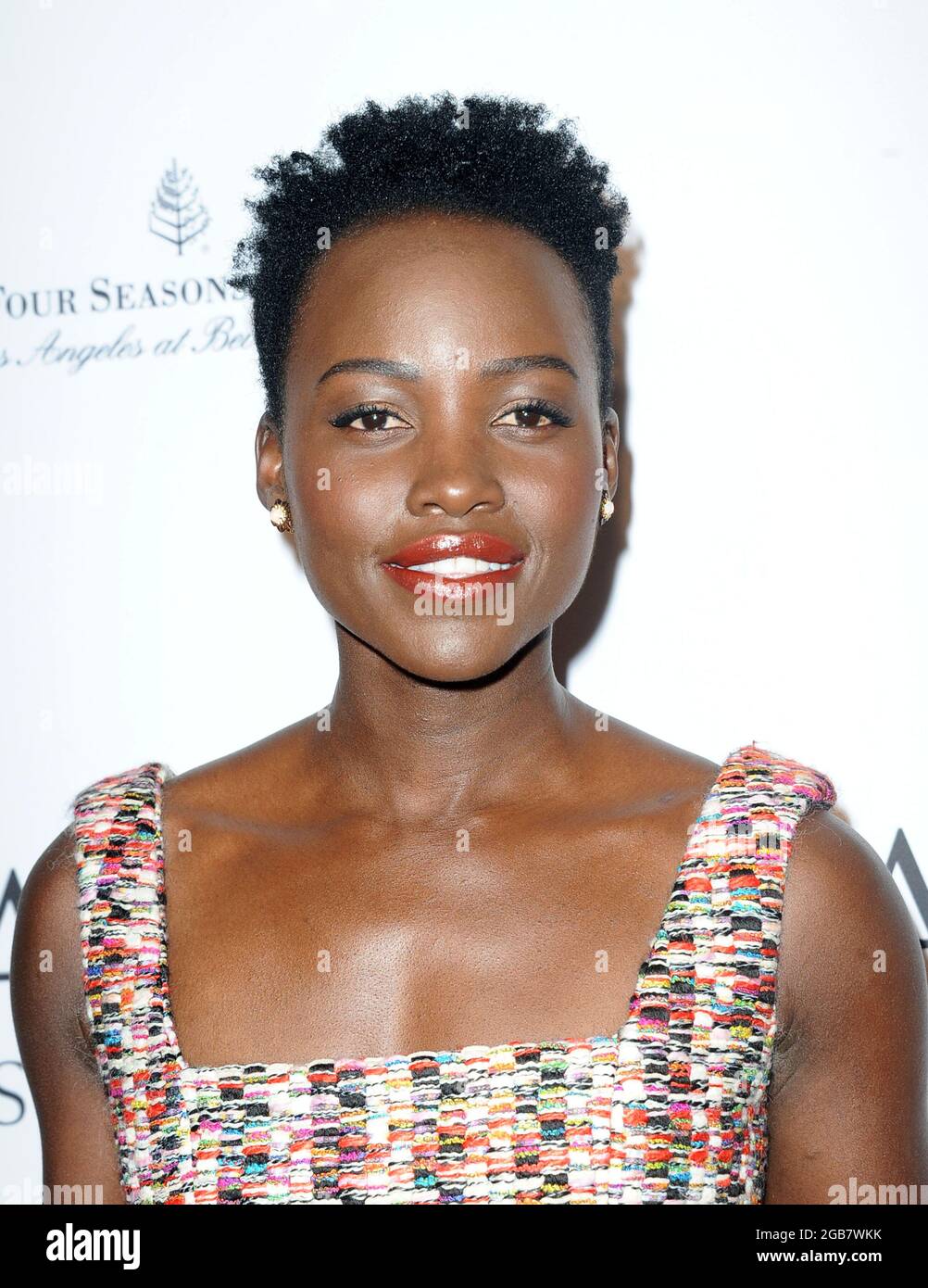 Los Angeles - CA - 01/05/2019 The BAFTA Los Angeles Tea Party -PICTURED