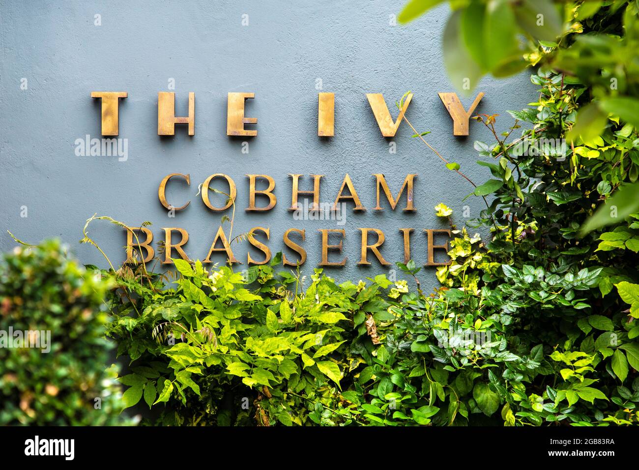 Sign on the exterior of The Ivy Cobham Brasserie, Cobham, Surrey, UK Stock Photo