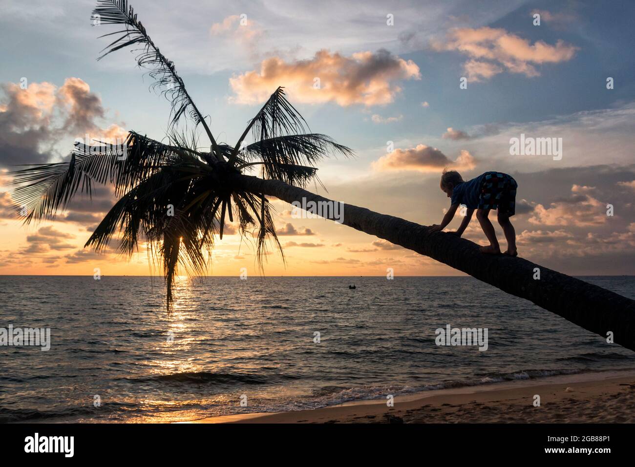boy climbing up a palm tree at sunset Stock Photo Alamy