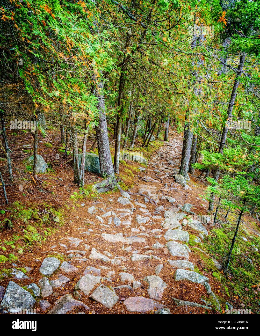 Hiking trail along the Long Pond in Acadia National Park in Maine Stock Photo