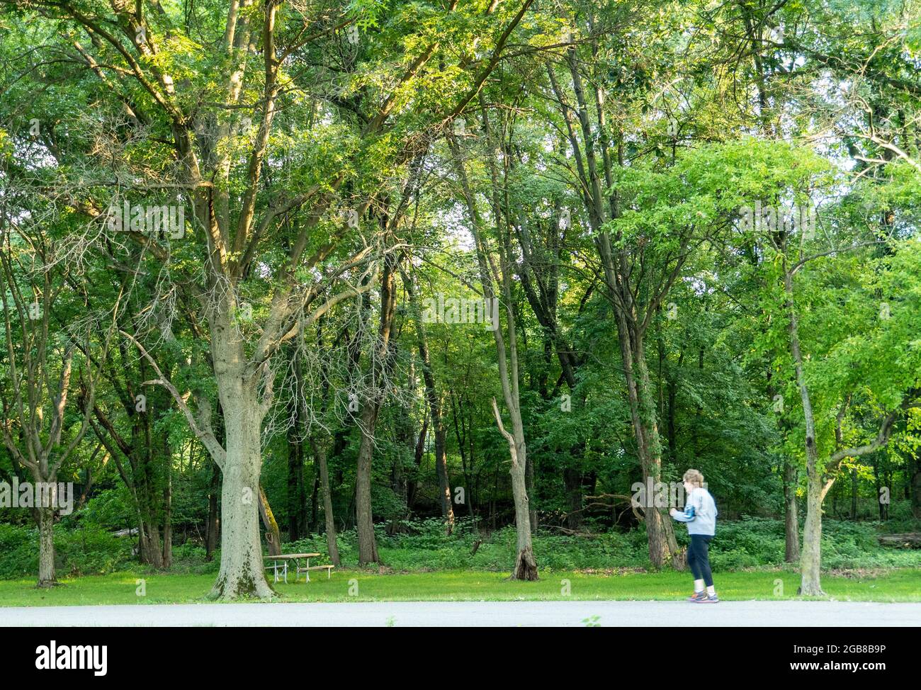 Older woman jogging in park hi-res stock photography and images - Alamy