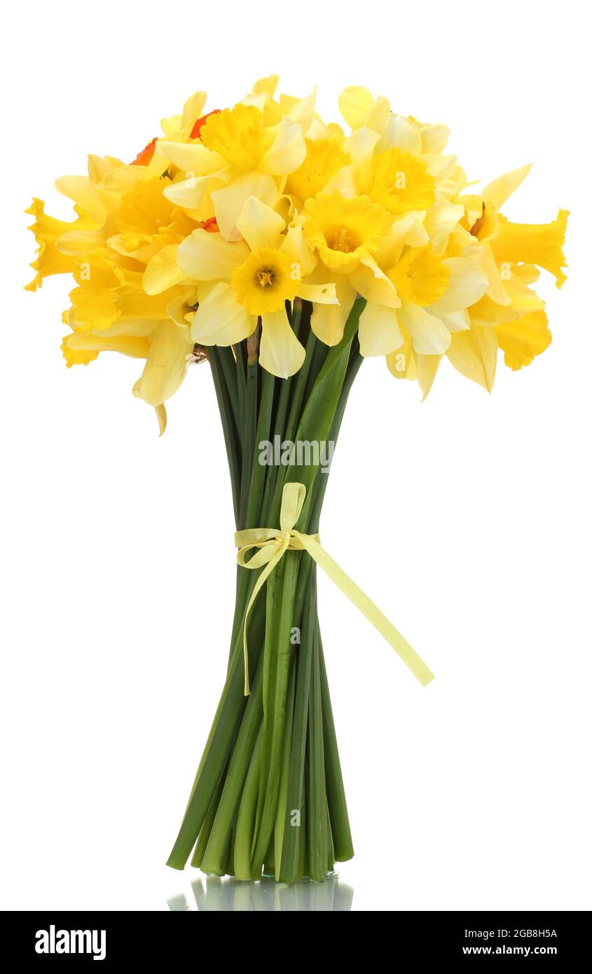 beautiful bouquet of yellow daffodils isolated on white Stock Photo - Alamy