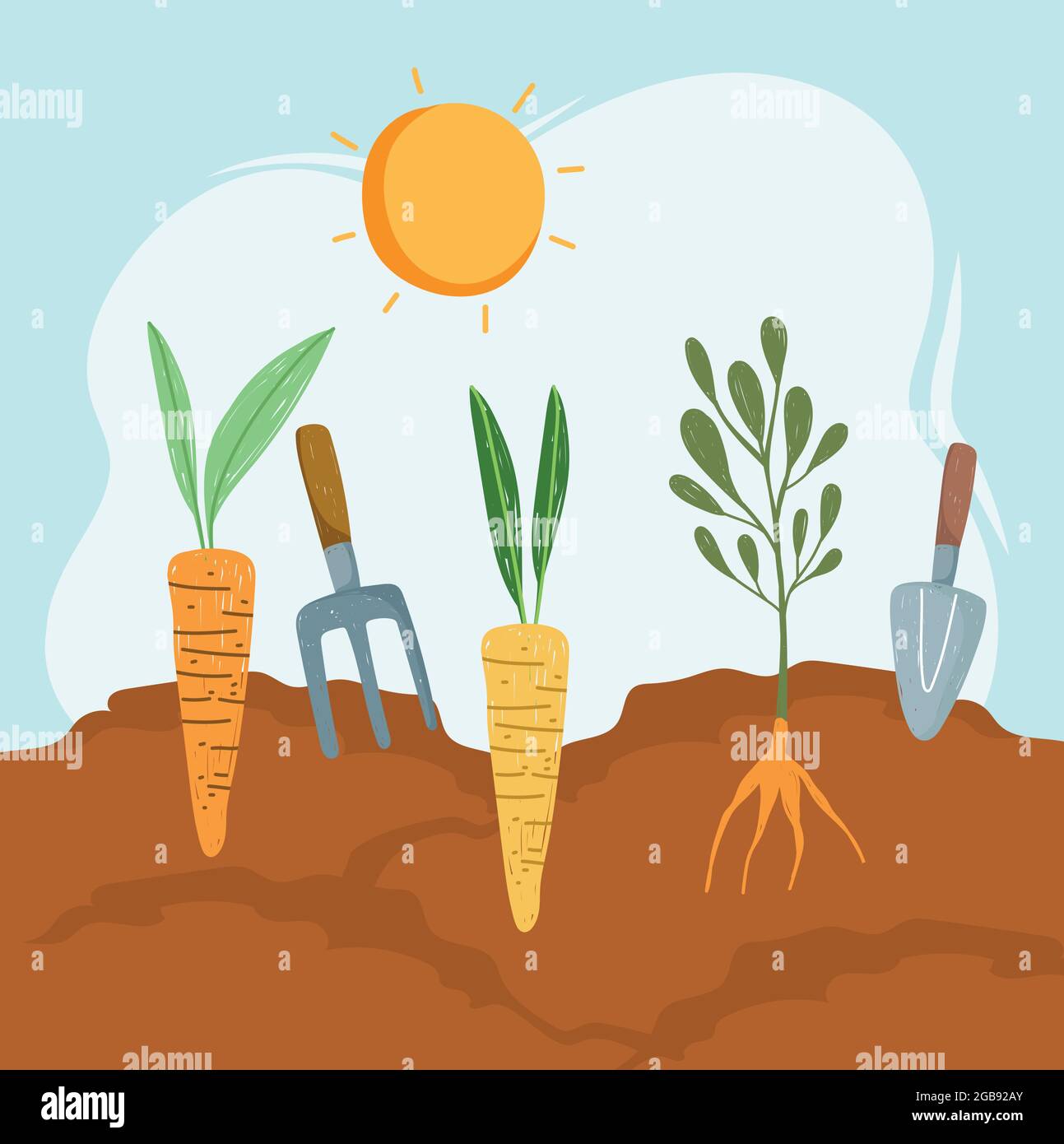Carrot root growing soil Stock Vector Images - Alamy