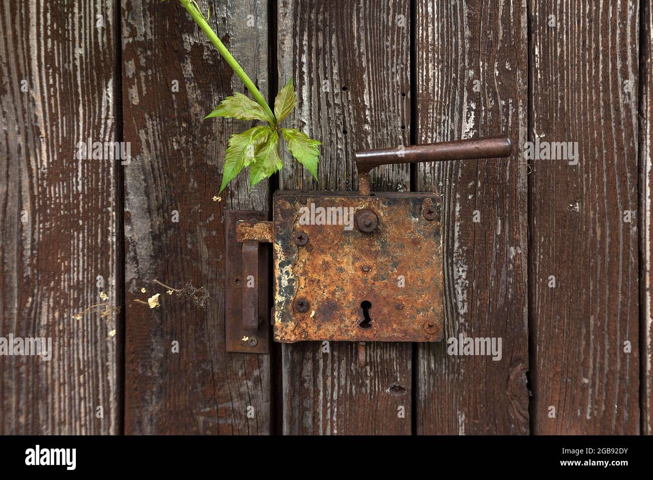 Rusty lock on metal hi-res stock photography and images - Alamy