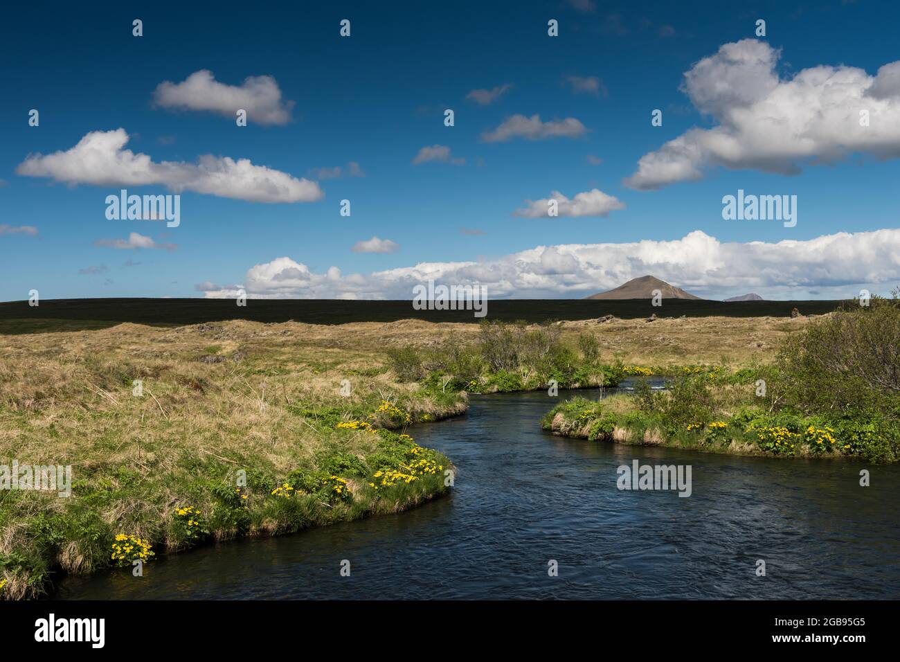 Laxa Salmon River Myvatn Or Myvatn Iceland Stock Photo Alamy