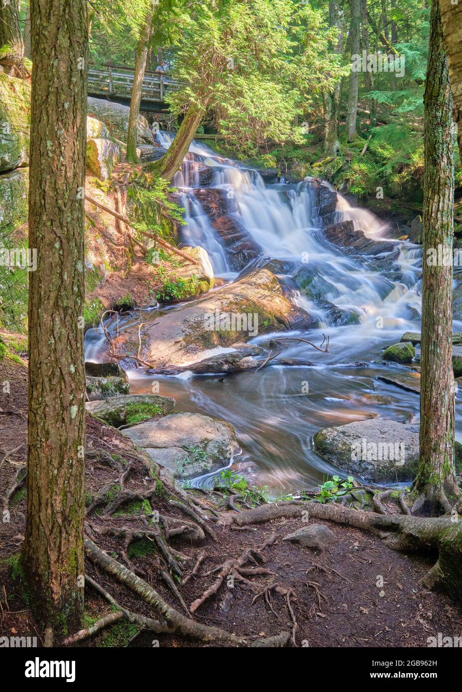 Photograph of Potts Falls in Bracebridge Ontario looking towards the falls from downstream in portrait orientation. Stock Photo