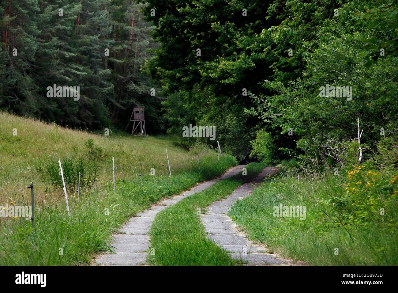 Kolonnenweg, Lochplattenweg, hiking trail through woodland and meadows, Gruenes Band, border trail, inner-German border, Werrabergland, Wendehausen Stock Photo