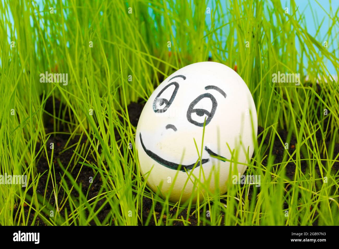 White egg with funny face in green grass Stock Photo - Alamy