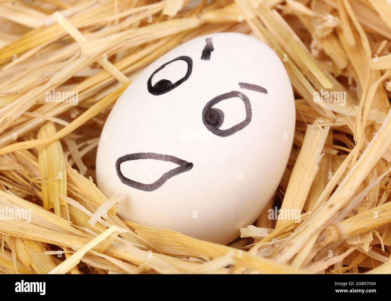 White egg with funny face in straw Stock Photo - Alamy