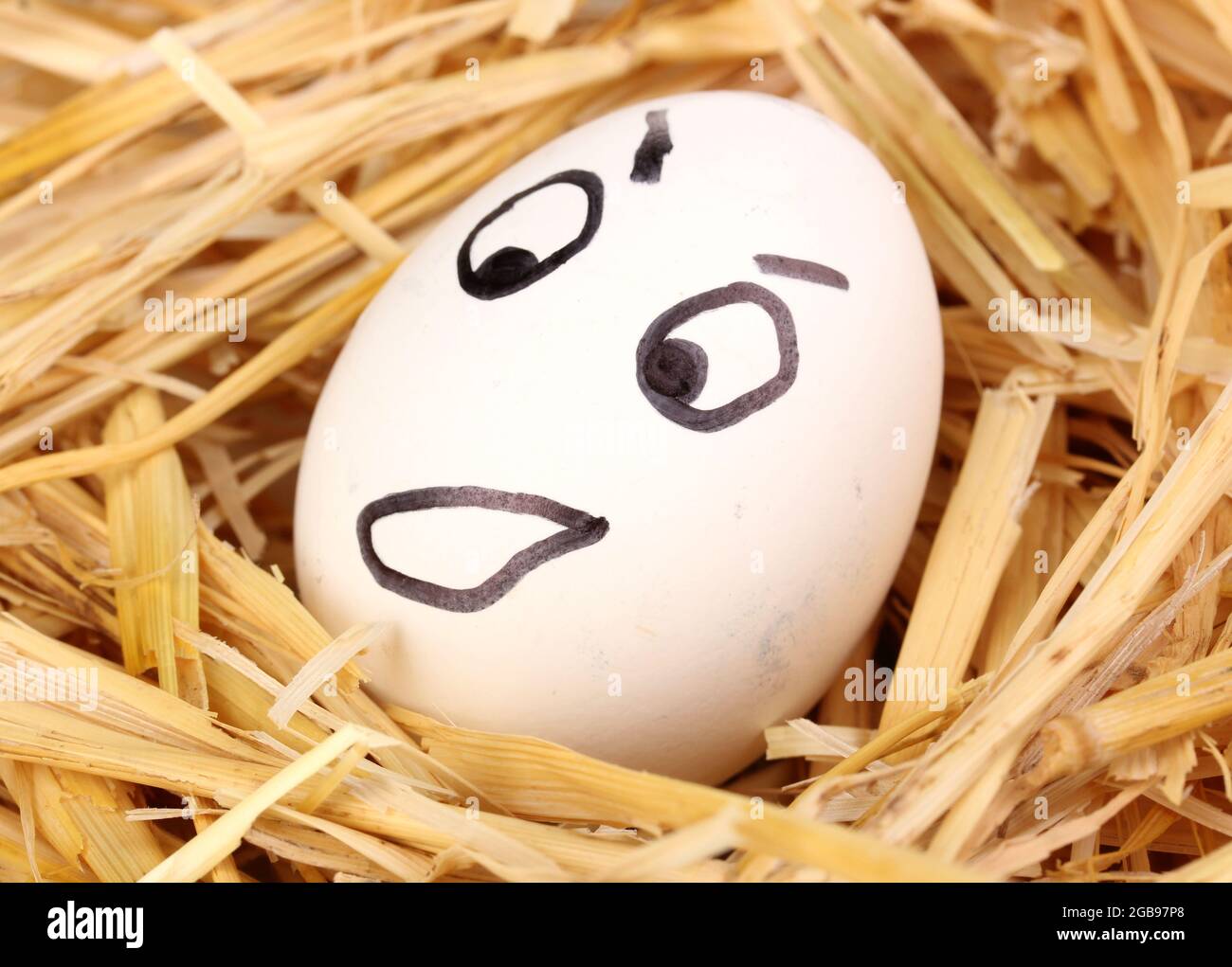White egg with funny face in straw Stock Photo - Alamy