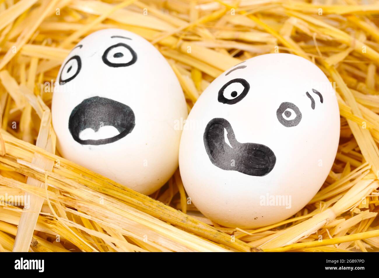 White eggs with funny faces in straw Stock Photo - Alamy