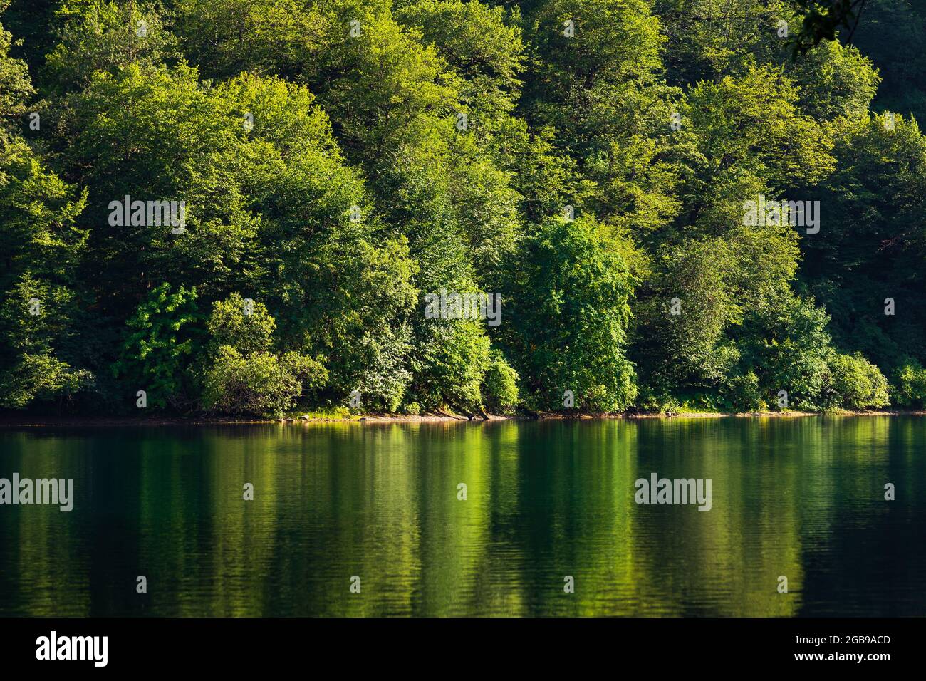 Idyllic mountain panorama dense forest hi-res stock photography and ...