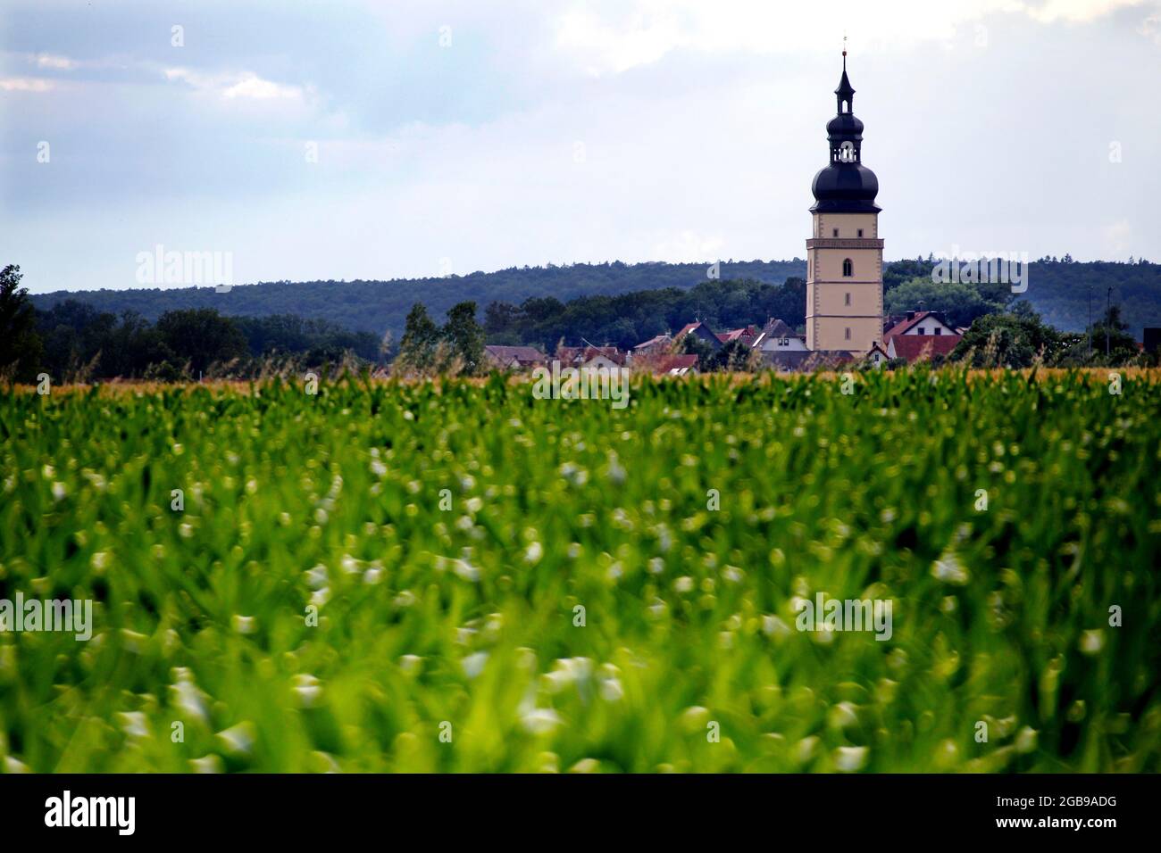 Field and church spire, church spire with onion roof, Green Belt, border path, Behrungen, Grabfeld municipality, Thuringian Forest, Thuringia, Germany Stock Photo