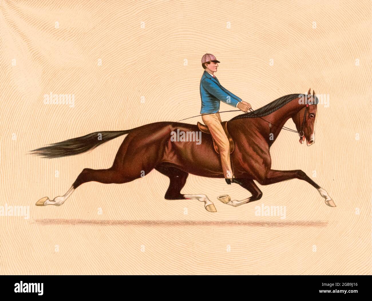 Dexter, The Trotting King ridden by John Murphy 1889 Stock Photo