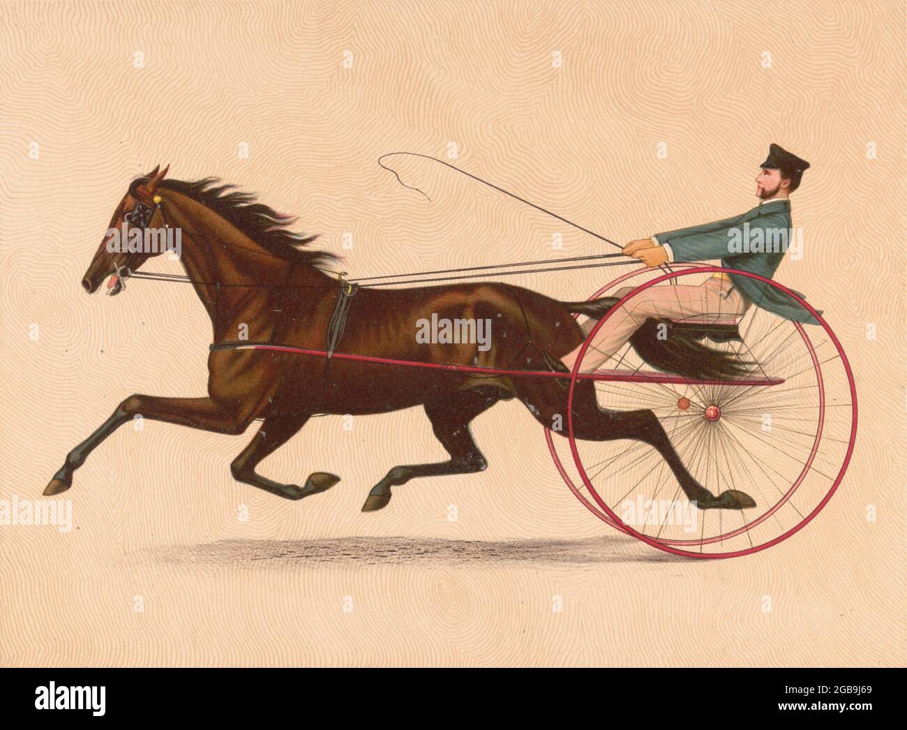1800s Harness Racers High Resolution Stock Photography and Images - Alamy