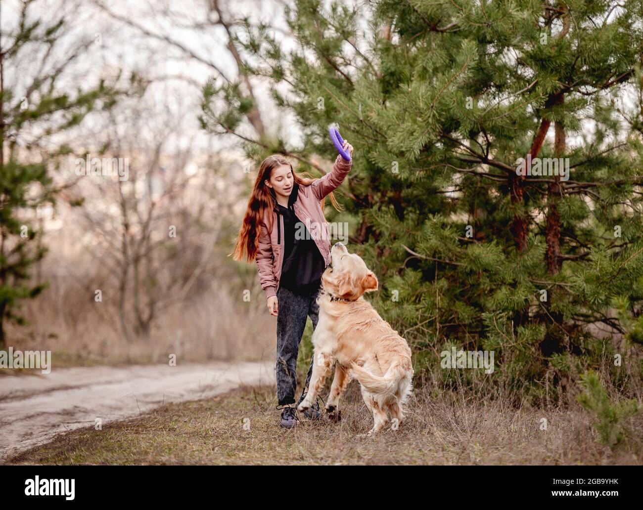 Girl with golden retriever dog in the wood Stock Photo - Alamy