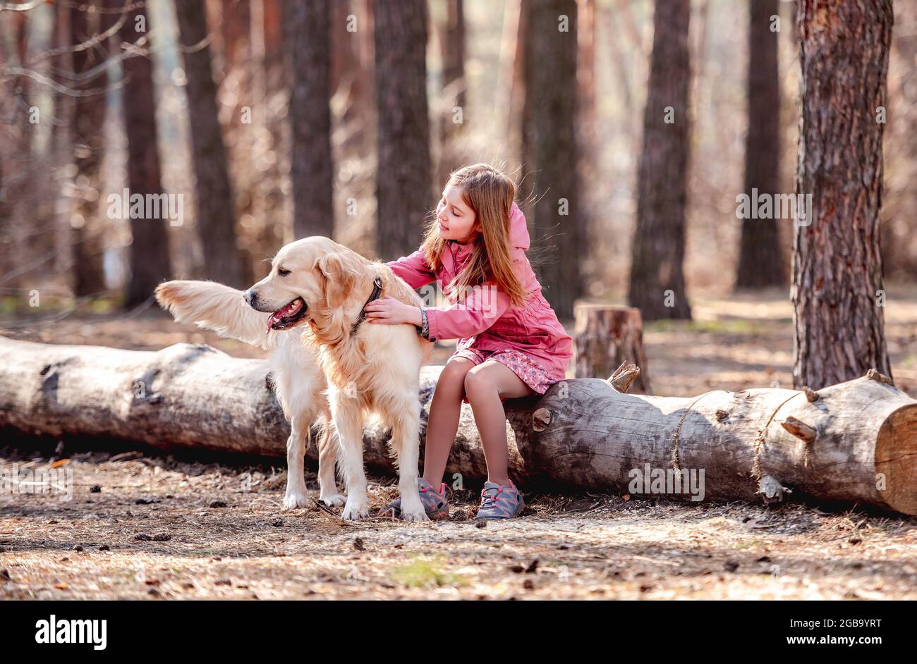 Little girl with golden retriever dog in the wood Stock Photo - Alamy