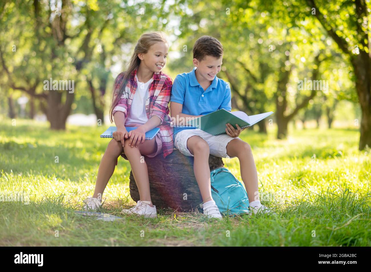 Cheerful boy and girl sitting on stump in park Stock Photo - Alamy