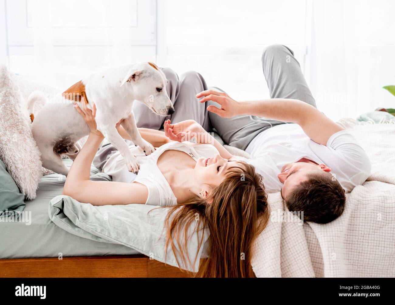 Couple in the bed with dog Stock Photo Alamy