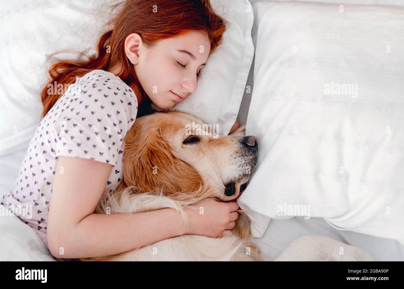 Girl with golden retriever dog in the bed Stock Photo - Alamy