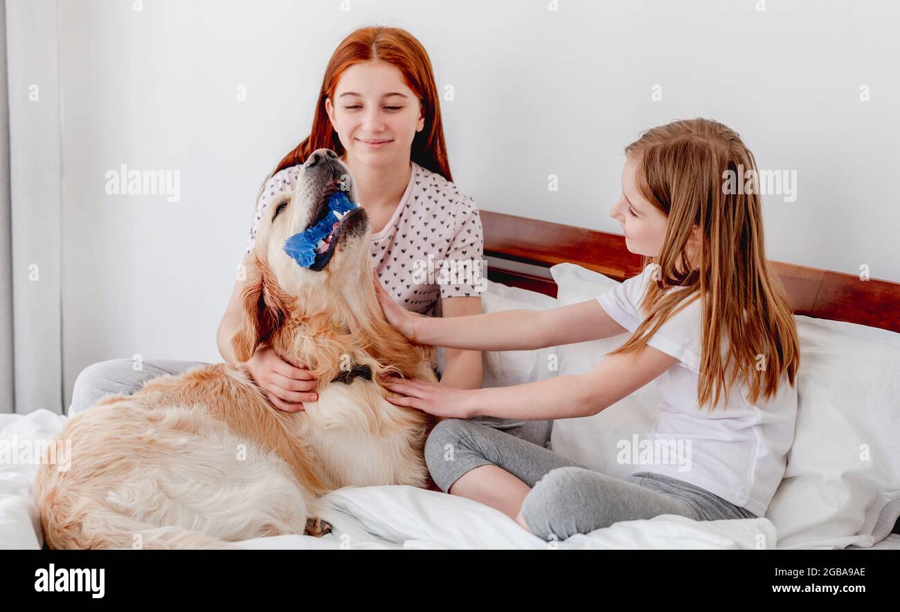 Girls with golden retriever dog in the bed Stock Photo - Alamy