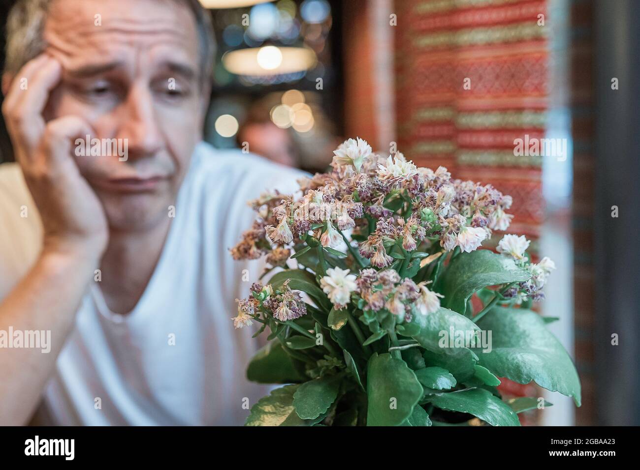 man in depressed state with sad emotions on his face while waiting in restaurant with a withered flower in flowerpot Stock Photo