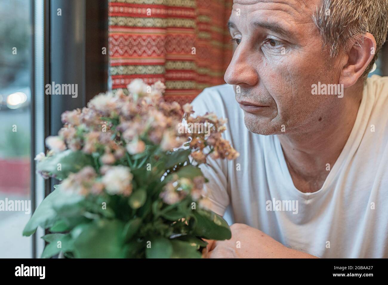 man in depressed state with sad emotions on his face while waiting in restaurant with a withered flower in flowerpot Stock Photo