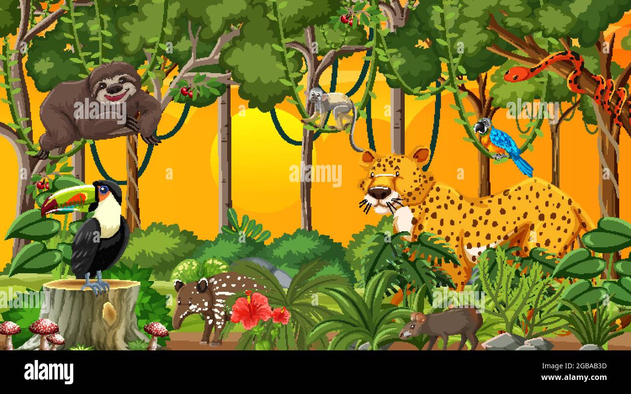 Nature forest at sunset time scene wtih wild animals illustration Stock ...