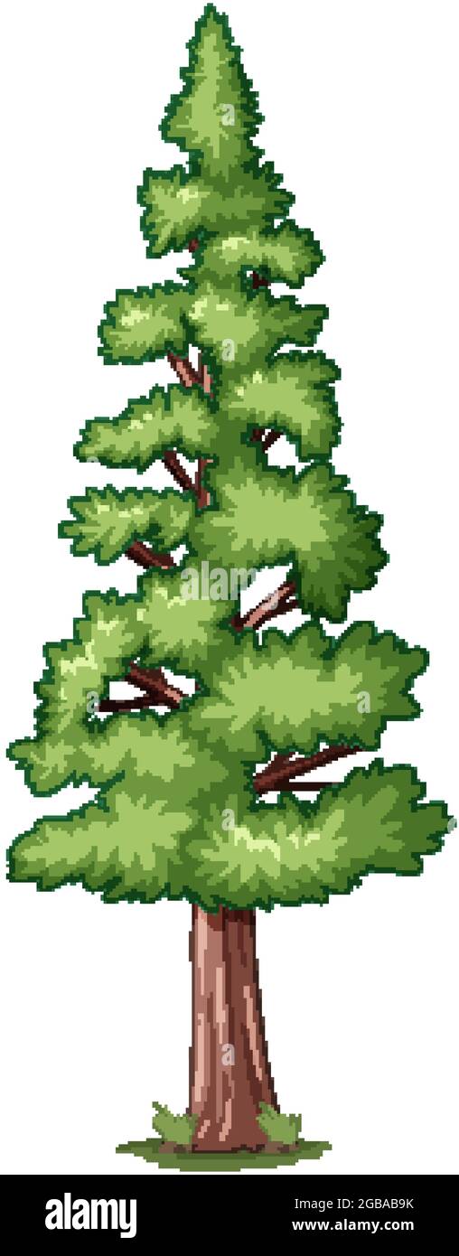Forest pine tree isolated illustration Stock Vector Image & Art - Alamy