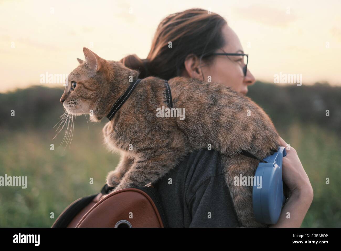 Cat sitting on shoulder of woman on nature. Stock Photo