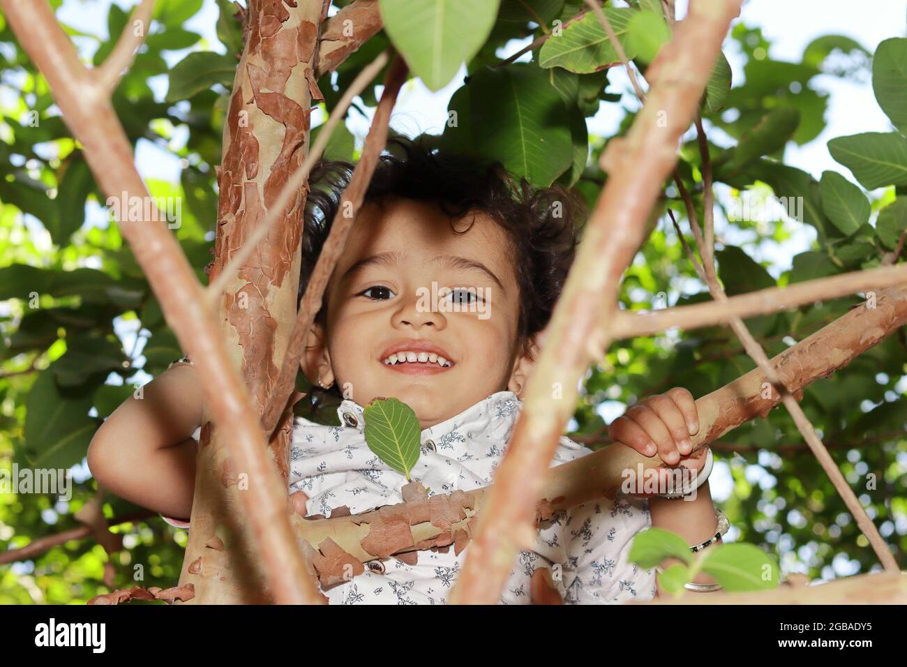 Close-up portrait of An Indian young little boy child playing on a tree in the garden and smiles at the camera. front view of indian little boy on the Stock Photo