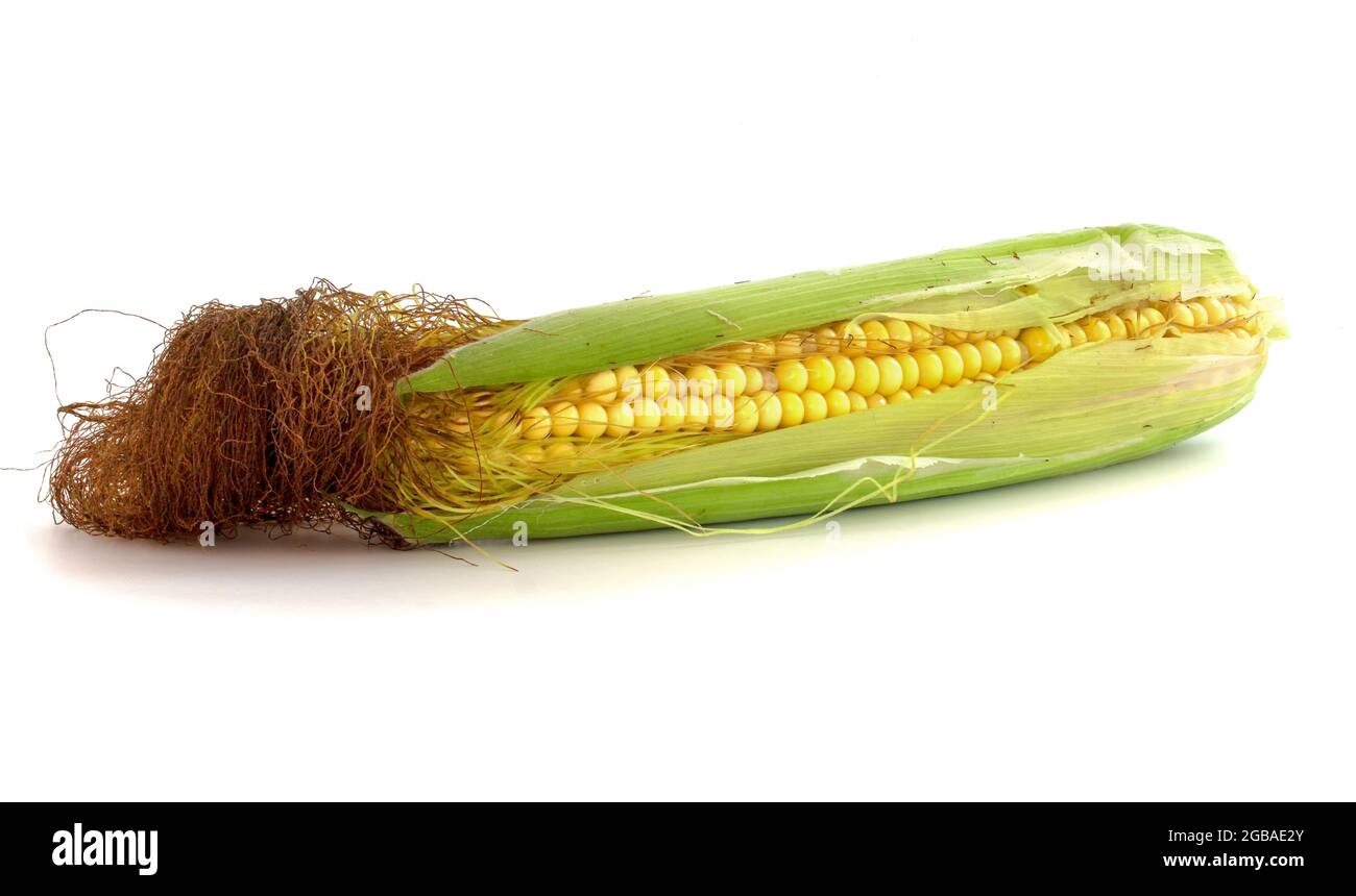 Fresh corn cob on white isolated background with clipping path. Stock Photo