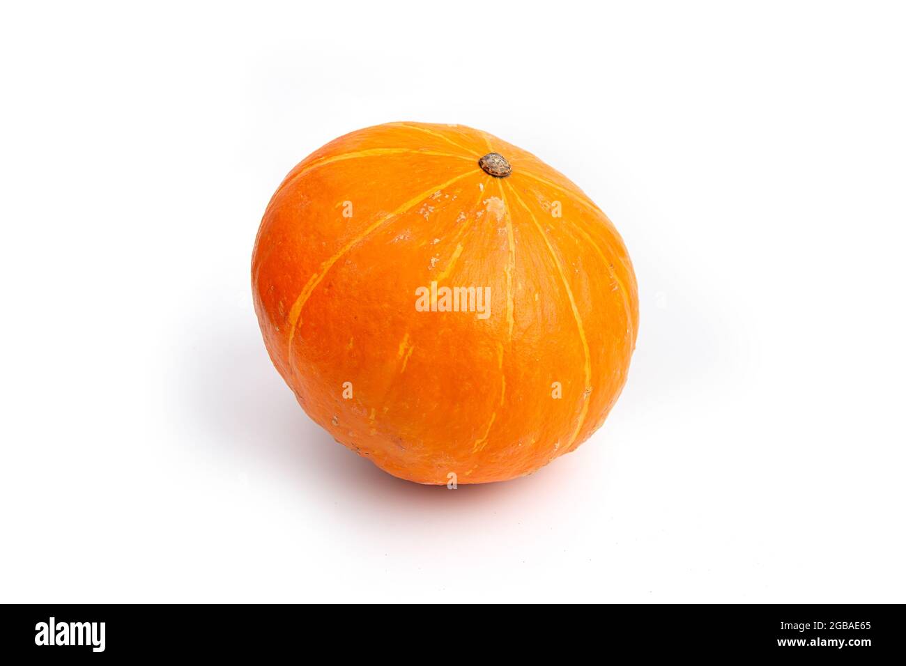 Pumpkin isolated on white background Stock Photo - Alamy