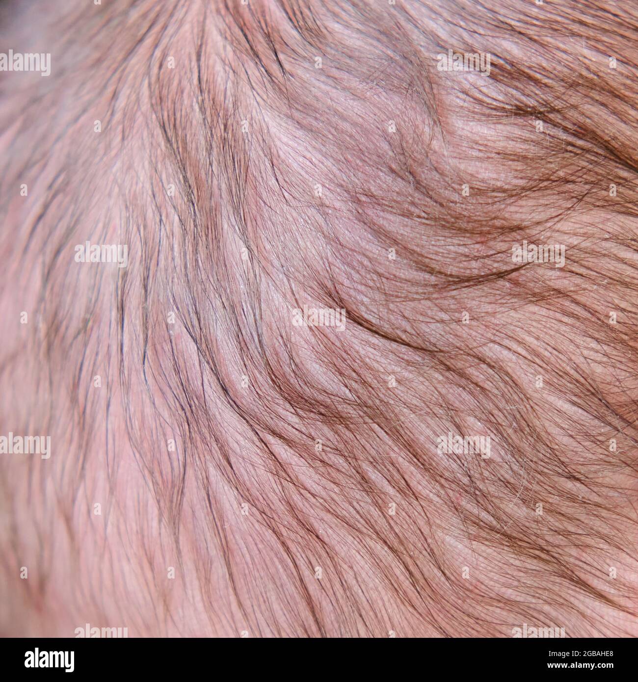 Newborn Baby Health High Resolution Stock Photography And Images Page 10 Alamy