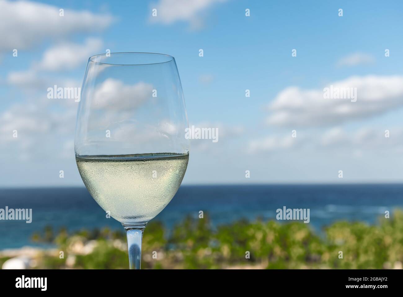 Glass of white wine on tropical vacation. Stock Photo