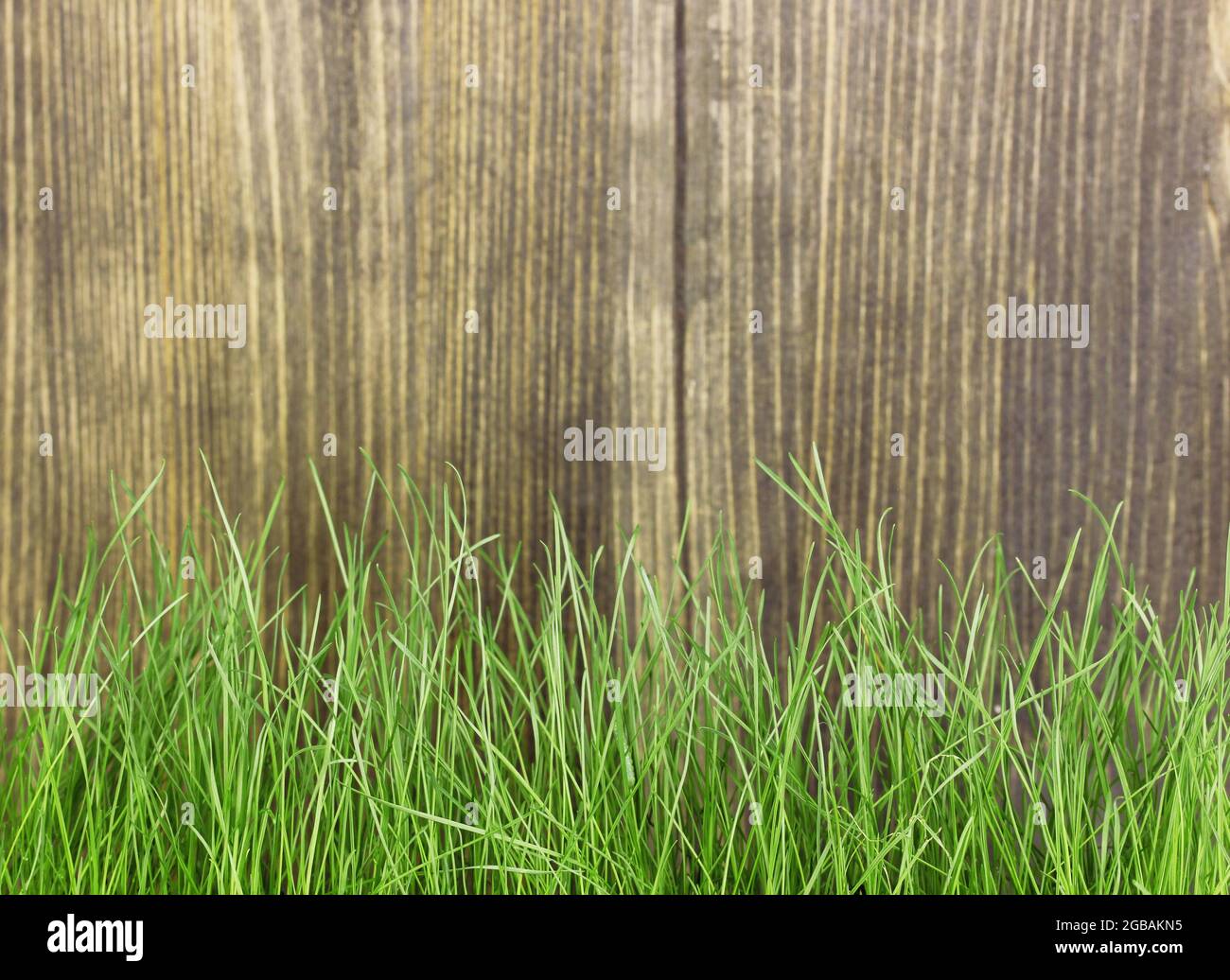 Green grass on wooden background Stock Photo - Alamy