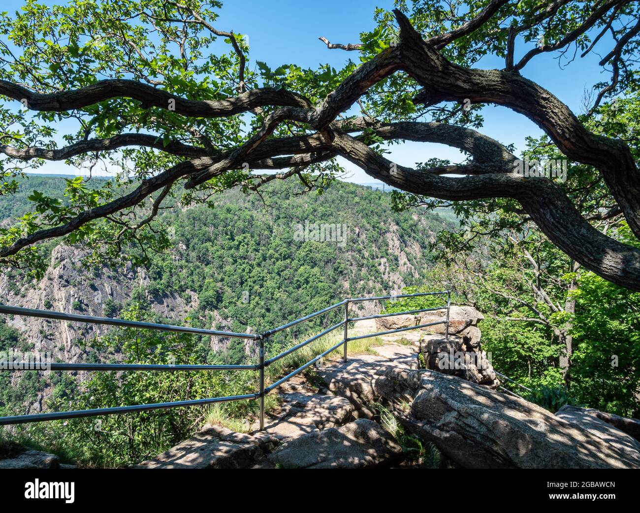 Natural landscape in the Harz low mountain range in Germany Stock Photo