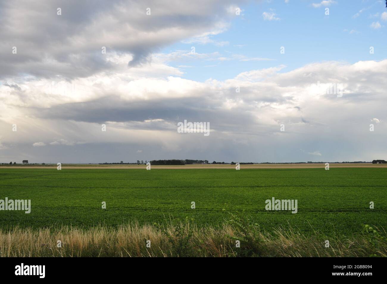 Looking east from OS grid 490242 over Terrington Marsh on the Lincolnshire/Norfolk border in the Fens, eastern England, UK Stock Photo