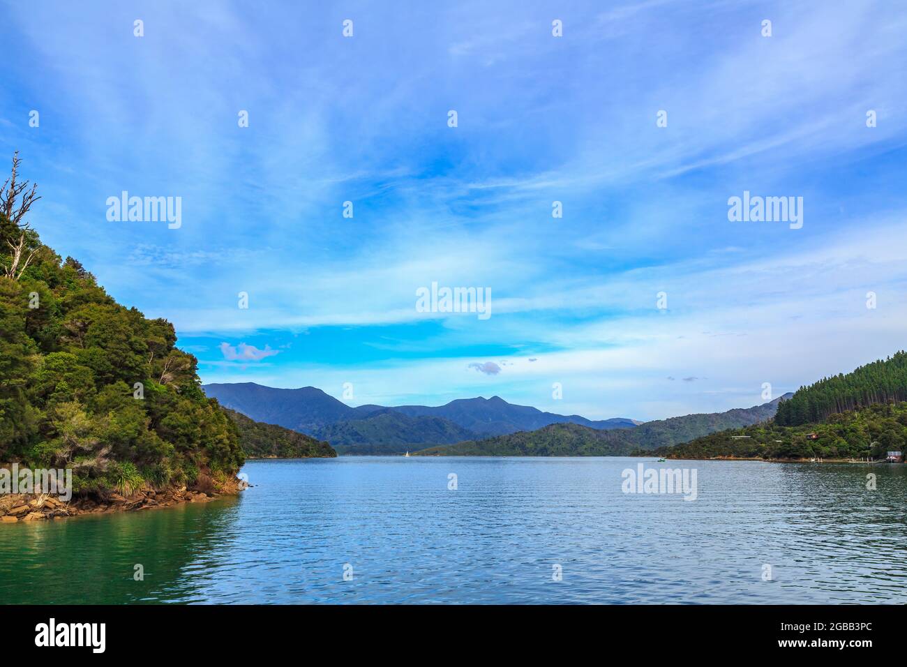 A view of Queen Charlotte Sound in New Zealand's South Island Stock Photo